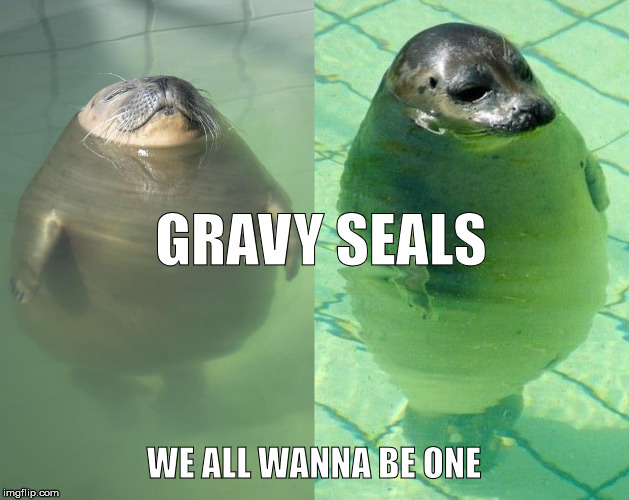 Fat seals | GRAVY SEALS; WE ALL WANNA BE ONE | image tagged in fat seals | made w/ Imgflip meme maker