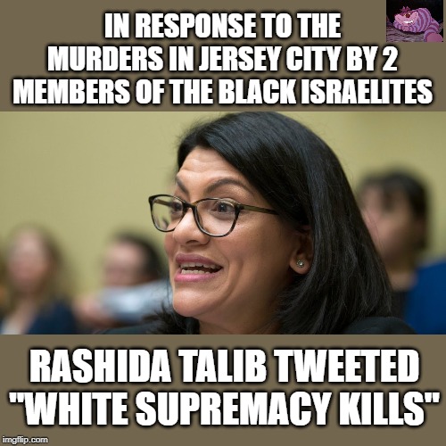 A new kind of stupid. | IN RESPONSE TO THE MURDERS IN JERSEY CITY BY 2 MEMBERS OF THE BLACK ISRAELITES; RASHIDA TALIB TWEETED "WHITE SUPREMACY KILLS" | image tagged in rashida tlaib | made w/ Imgflip meme maker