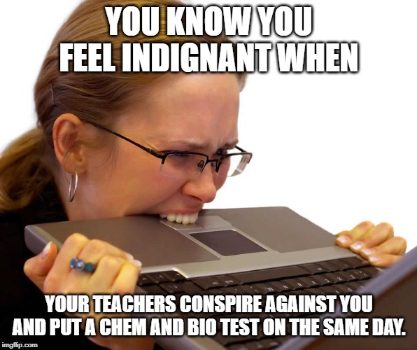 Frustrated | YOU KNOW YOU FEEL INDIGNANT WHEN; YOUR TEACHERS CONSPIRE AGAINST YOU AND PUT A CHEM AND BIO TEST ON THE SAME DAY. | image tagged in frustrated | made w/ Imgflip meme maker
