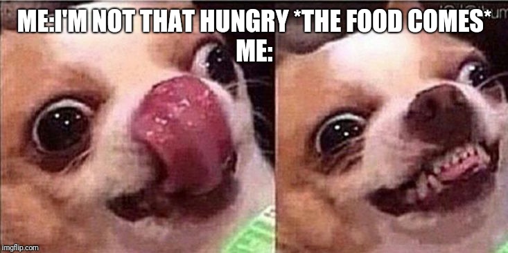 Hungry dog | ME:I'M NOT THAT HUNGRY *THE FOOD COMES*
ME: | image tagged in hungry dog | made w/ Imgflip meme maker