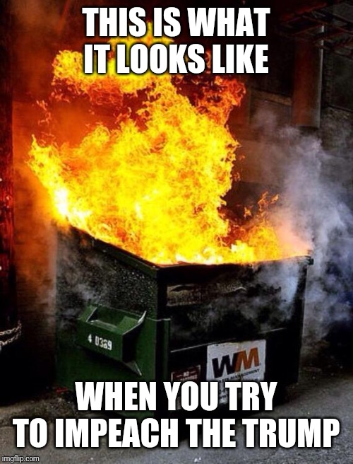 Dumpster Fire | THIS IS WHAT IT LOOKS LIKE; WHEN YOU TRY TO IMPEACH THE TRUMP | image tagged in dumpster fire | made w/ Imgflip meme maker