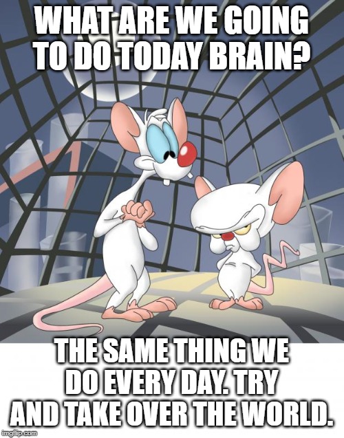 Pinky and the brain | WHAT ARE WE GOING TO DO TODAY BRAIN? THE SAME THING WE DO EVERY DAY. TRY AND TAKE OVER THE WORLD. | image tagged in pinky and the brain | made w/ Imgflip meme maker