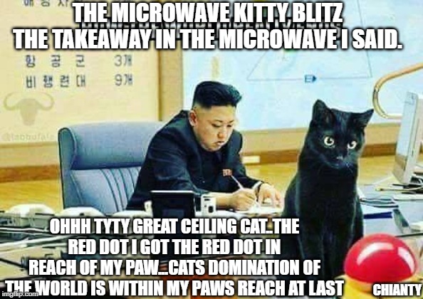 Microwave |  THE MICROWAVE KITTY BLITZ THE TAKEAWAY IN THE MICROWAVE I SAID. OHHH TYTY GREAT CEILING CAT..THE RED DOT I GOT THE RED DOT IN REACH OF MY PAW...CATS DOMINATION OF THE WORLD IS WITHIN MY PAWS REACH AT LAST; CHIANTY | image tagged in big red button | made w/ Imgflip meme maker