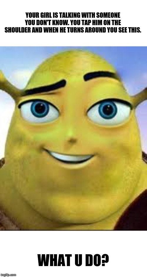 YOUR GIRL IS TALKING WITH SOMEONE YOU DON'T KNOW. YOU TAP HIM ON THE SHOULDER AND WHEN HE TURNS AROUND YOU SEE THIS. WHAT U DO? | image tagged in shrek,bees | made w/ Imgflip meme maker