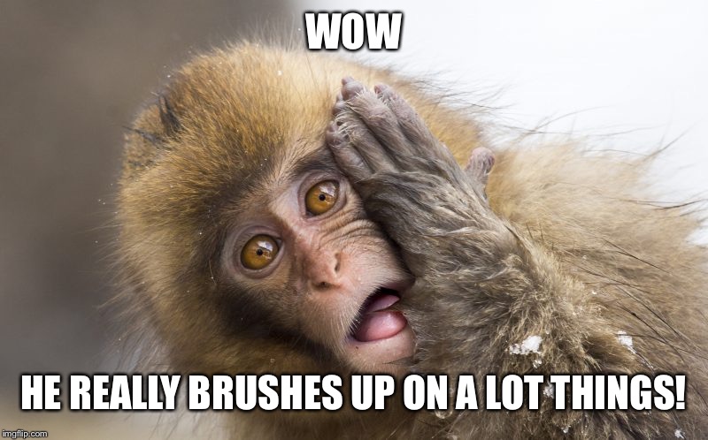 Huh? | WOW HE REALLY BRUSHES UP ON A LOT THINGS! | image tagged in huh | made w/ Imgflip meme maker