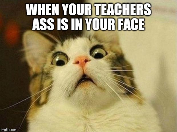 Scared Cat Meme | WHEN YOUR TEACHERS ASS IS IN YOUR FACE | image tagged in memes,scared cat | made w/ Imgflip meme maker