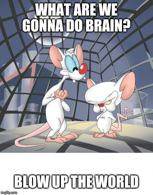 Pinky and the brain | WHAT ARE WE GONNA DO BRAIN? BLOW UP THE WORLD | image tagged in pinky and the brain | made w/ Imgflip meme maker