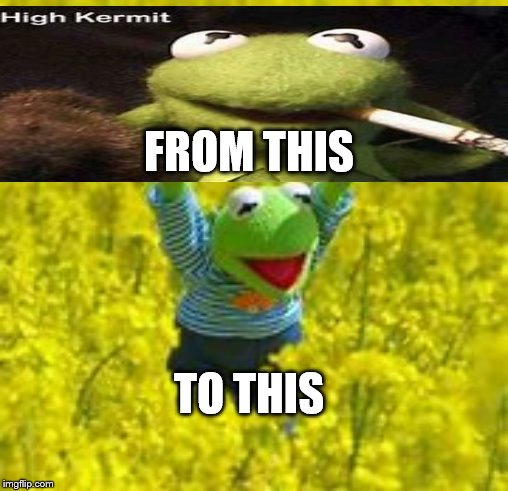 high kermit | FROM THIS; TO THIS | image tagged in kermit the frog | made w/ Imgflip meme maker
