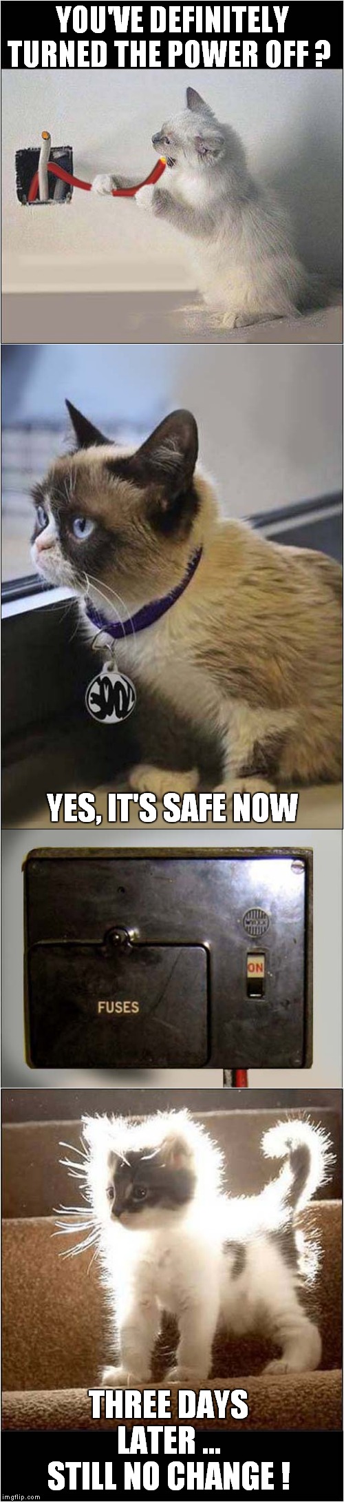 Grumpy Is Not A Certified Electrician | YOU'VE DEFINITELY TURNED THE POWER OFF ? YES, IT'S SAFE NOW; THREE DAYS LATER ... STILL NO CHANGE ! | image tagged in fun,grumpy cat,electricity | made w/ Imgflip meme maker