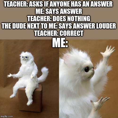Persian Cat Room Guardian | TEACHER: ASKS IF ANYONE HAS AN ANSWER 
ME: SAYS ANSWER
TEACHER: DOES NOTHING
THE DUDE NEXT TO ME: SAYS ANSWER LOUDER
TEACHER: CORRECT; ME: | image tagged in memes,persian cat room guardian | made w/ Imgflip meme maker