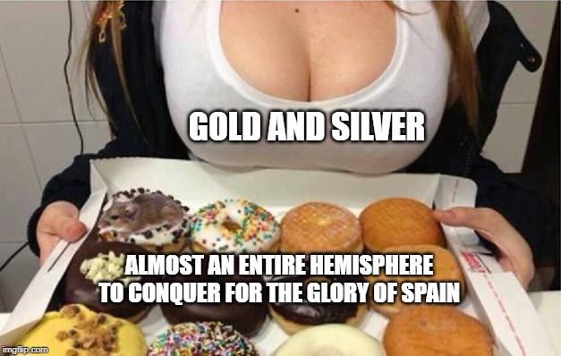 POV King Charles V | GOLD AND SILVER; ALMOST AN ENTIRE HEMISPHERE TO CONQUER FOR THE GLORY OF SPAIN | image tagged in oh wow doughnuts | made w/ Imgflip meme maker