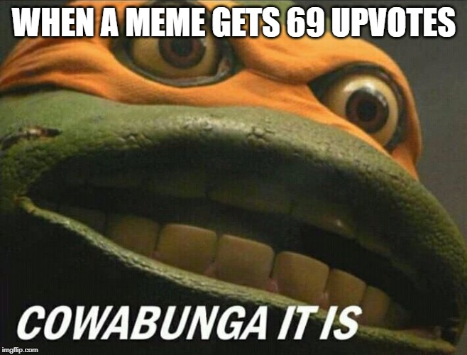 Cowabunga it is | WHEN A MEME GETS 69 UPVOTES | image tagged in cowabunga it is | made w/ Imgflip meme maker
