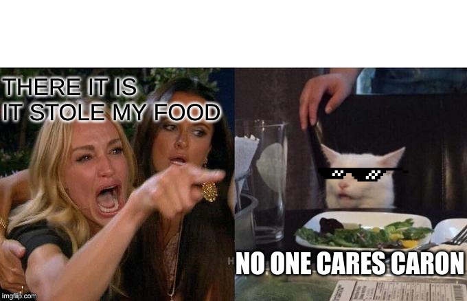 Woman Yelling At Cat | THERE IT IS IT STOLE MY FOOD; NO ONE CARES CARON | image tagged in memes,woman yelling at cat | made w/ Imgflip meme maker