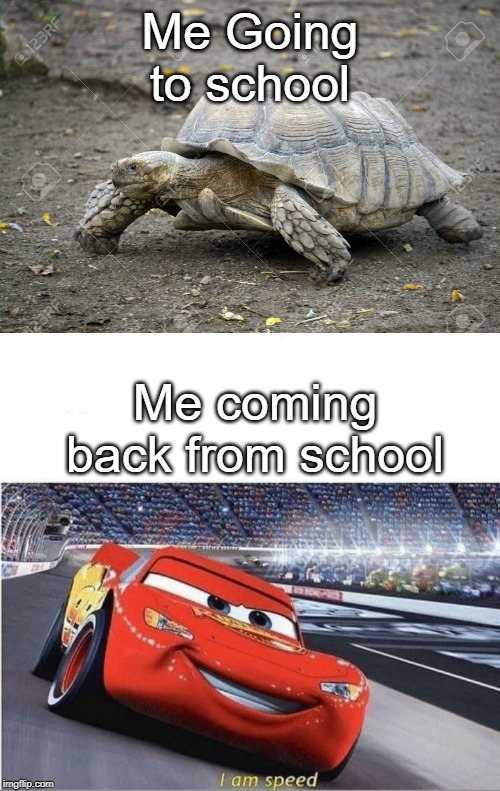 i like pizza rolls | Me Going to school; Me coming back from school | image tagged in i am speed,funny,memes,school,turtle,turtles | made w/ Imgflip meme maker