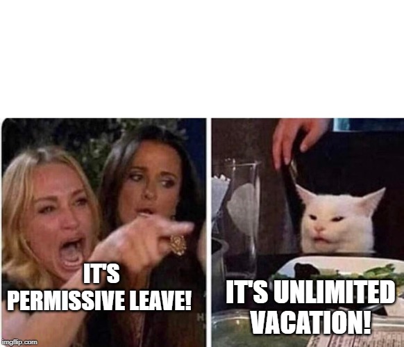 Lady screams at cat | IT'S UNLIMITED VACATION! IT'S PERMISSIVE LEAVE! | image tagged in lady screams at cat | made w/ Imgflip meme maker