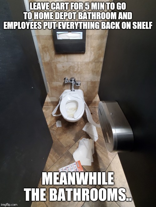 LEAVE CART FOR 5 MIN TO GO TO HOME DEPOT BATHROOM AND EMPLOYEES PUT EVERYTHING BACK ON SHELF; MEANWHILE THE BATHROOMS.. | image tagged in home depot,ambition | made w/ Imgflip meme maker