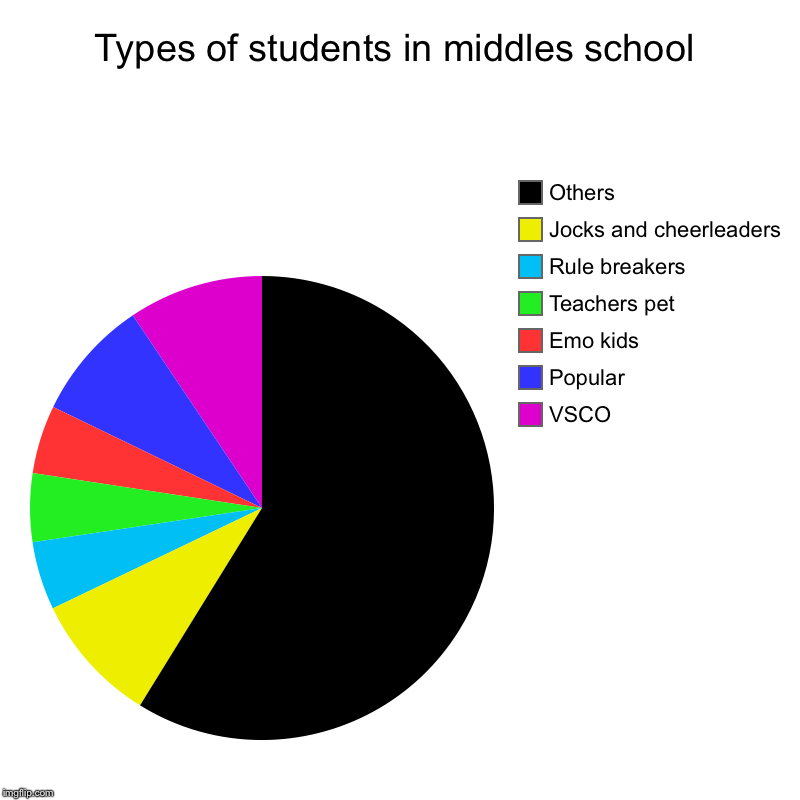 Types of students in middles school | VSCO, Popular, Emo kids, Teachers pet, Rule breakers, Jocks and cheerleaders , Others | image tagged in charts,pie charts | made w/ Imgflip chart maker