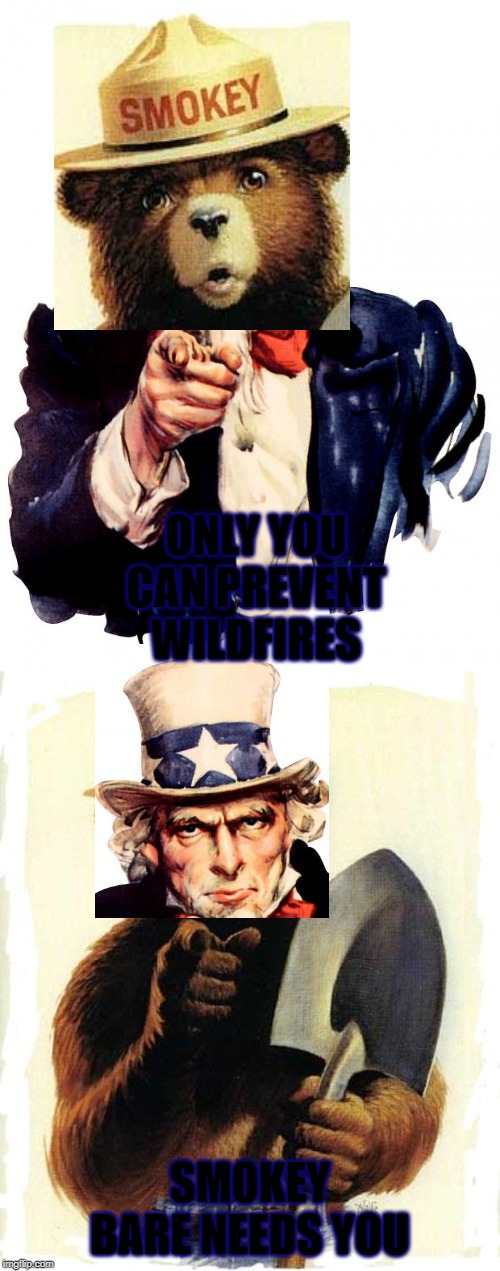 ONLY YOU CAN PREVENT WILDFIRES; SMOKEY BARE NEEDS YOU | image tagged in memes,uncle sam,smokey the bear | made w/ Imgflip meme maker