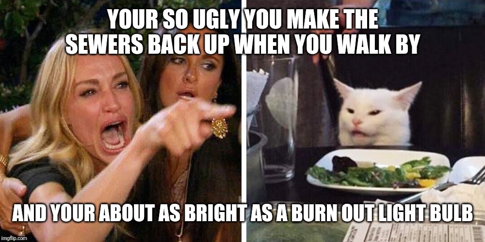 Smudge the cat | YOUR SO UGLY YOU MAKE THE SEWERS BACK UP WHEN YOU WALK BY; AND YOUR ABOUT AS BRIGHT AS A BURN OUT LIGHT BULB | image tagged in smudge the cat | made w/ Imgflip meme maker