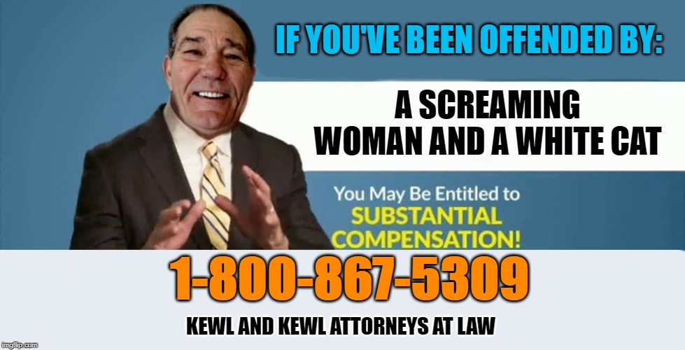 ant it the truth | IF YOU'VE BEEN OFFENDED BY:; A SCREAMING WOMAN AND A WHITE CAT; 1-800-867-5309; KEWL AND KEWL ATTORNEYS AT LAW | image tagged in kewlew,class action | made w/ Imgflip meme maker