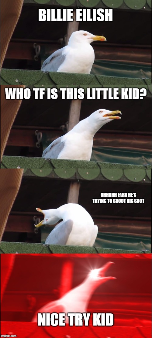 Inhaling Seagull Meme | BILLIE EILISH; WHO TF IS THIS LITTLE KID? OHHHHH FARK HE'S TRYING TO SHOOT HIS SHOT; NICE TRY KID | image tagged in memes,inhaling seagull | made w/ Imgflip meme maker