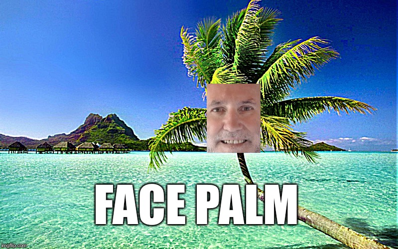 Palm Tree  | FACE PALM | image tagged in palm tree | made w/ Imgflip meme maker