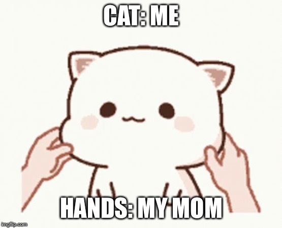 Kitty | CAT: ME; HANDS: MY MOM | image tagged in kitty | made w/ Imgflip meme maker