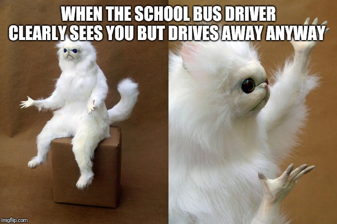 Persian Cat Room Guardian | WHEN THE SCHOOL BUS DRIVER CLEARLY SEES YOU BUT DRIVES AWAY ANYWAY | image tagged in memes,persian cat room guardian | made w/ Imgflip meme maker