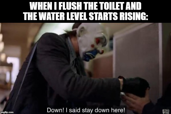 Inspired by KenshiKenshi | WHEN I FLUSH THE TOILET AND THE WATER LEVEL STARTS RISING: | image tagged in the dark knight,joker,toilet | made w/ Imgflip meme maker