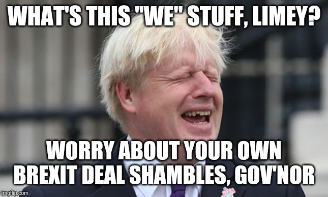 Boris Johnson | WHAT'S THIS "WE" STUFF, LIMEY? WORRY ABOUT YOUR OWN BREXIT DEAL SHAMBLES, GOV'NOR | image tagged in boris johnson | made w/ Imgflip meme maker