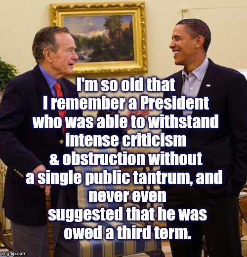 I'm so old that I remember a President who was able to withstand intense criticism & obstruction without a single public tantrum, and; never even suggested that he was owed a third term. | image tagged in obama,presidents | made w/ Imgflip meme maker