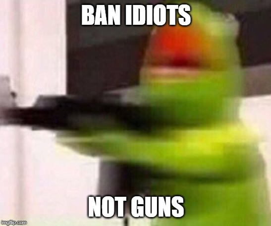 No not my gun i like it | BAN IDIOTS; NOT GUNS | image tagged in school shooter muppet,idiots,funny,memes,guns,gun rights | made w/ Imgflip meme maker