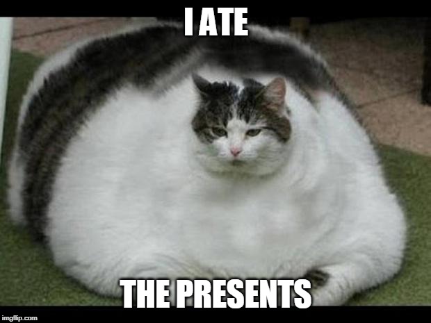 fat cat 2 | I ATE THE PRESENTS | image tagged in fat cat 2 | made w/ Imgflip meme maker