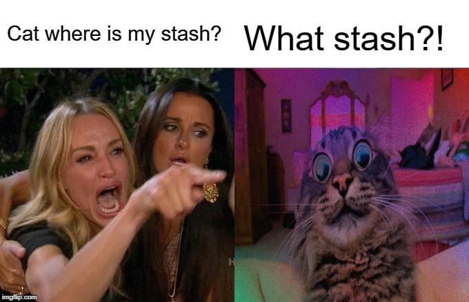 Woman Yelling At Cat Meme | Cat where is my stash? What stash?! | image tagged in memes,woman yelling at cat | made w/ Imgflip meme maker