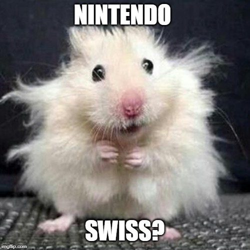 Stressed Mouse | NINTENDO SWISS? | image tagged in stressed mouse | made w/ Imgflip meme maker