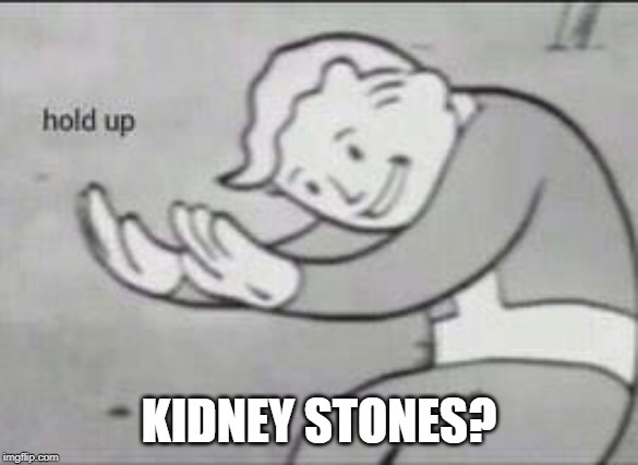 Fallout Hold Up | KIDNEY STONES? | image tagged in fallout hold up | made w/ Imgflip meme maker