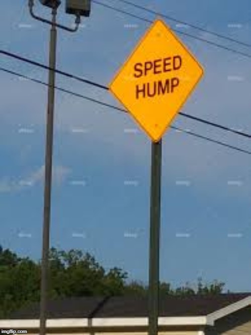 "Speed Hump" | image tagged in speed | made w/ Imgflip meme maker