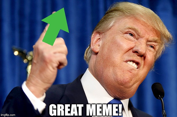 Donald Trump | GREAT MEME! | image tagged in donald trump | made w/ Imgflip meme maker