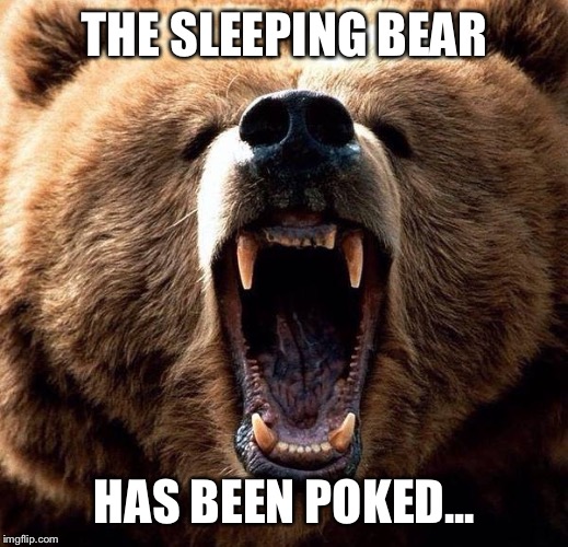 Don't poke the bear  |  THE SLEEPING BEAR; HAS BEEN POKED... | image tagged in don't poke the bear | made w/ Imgflip meme maker