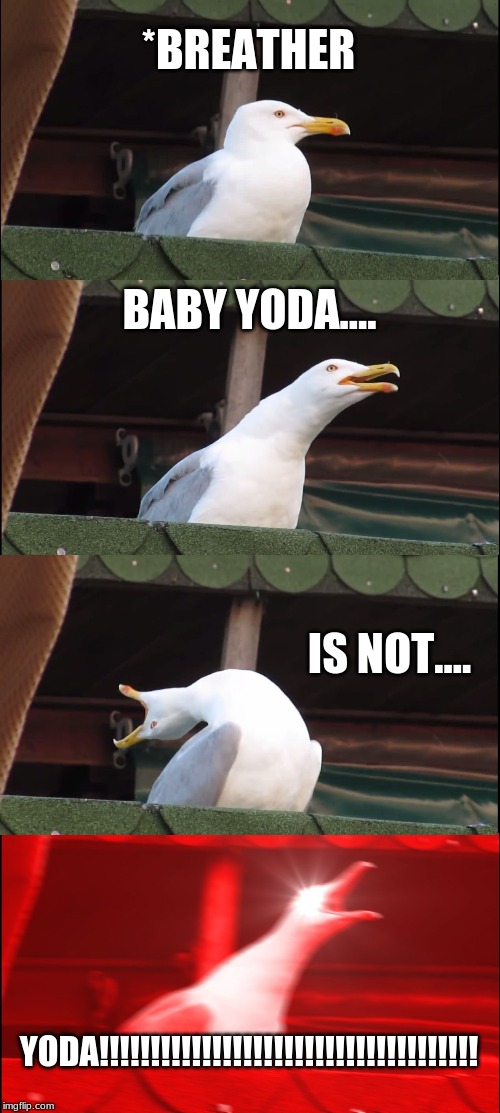 Inhaling Seagull | *BREATHER; BABY YODA.... IS NOT.... YODA!!!!!!!!!!!!!!!!!!!!!!!!!!!!!!!!!!!!! | image tagged in memes,inhaling seagull | made w/ Imgflip meme maker