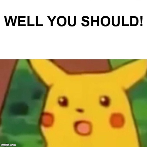 Surprised Pikachu Meme | WELL YOU SHOULD! | image tagged in memes,surprised pikachu | made w/ Imgflip meme maker