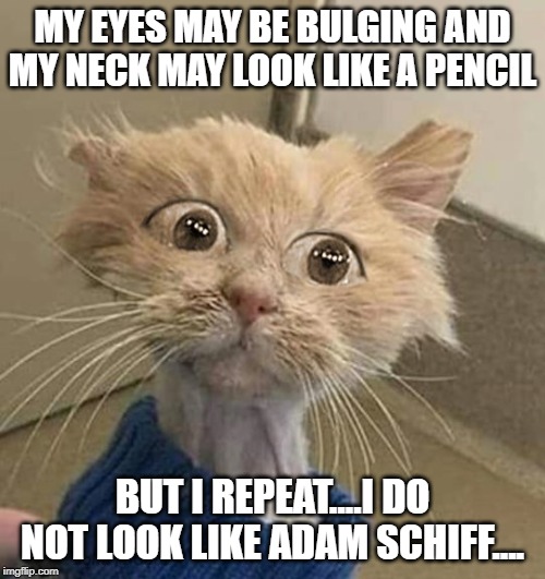 politics | MY EYES MAY BE BULGING AND MY NECK MAY LOOK LIKE A PENCIL; BUT I REPEAT....I DO NOT LOOK LIKE ADAM SCHIFF.... | image tagged in political meme | made w/ Imgflip meme maker