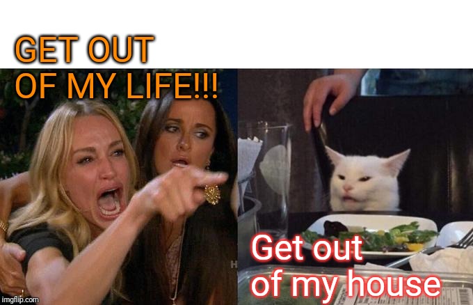Woman Yelling At Cat | GET OUT OF MY LIFE!!! Get out of my house | image tagged in memes,woman yelling at cat | made w/ Imgflip meme maker