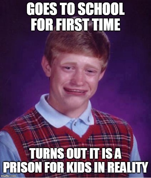 *shcool* = prison for kids | GOES TO SCHOOL FOR FIRST TIME; TURNS OUT IT IS A PRISON FOR KIDS IN REALITY | image tagged in bad luck brian cry | made w/ Imgflip meme maker