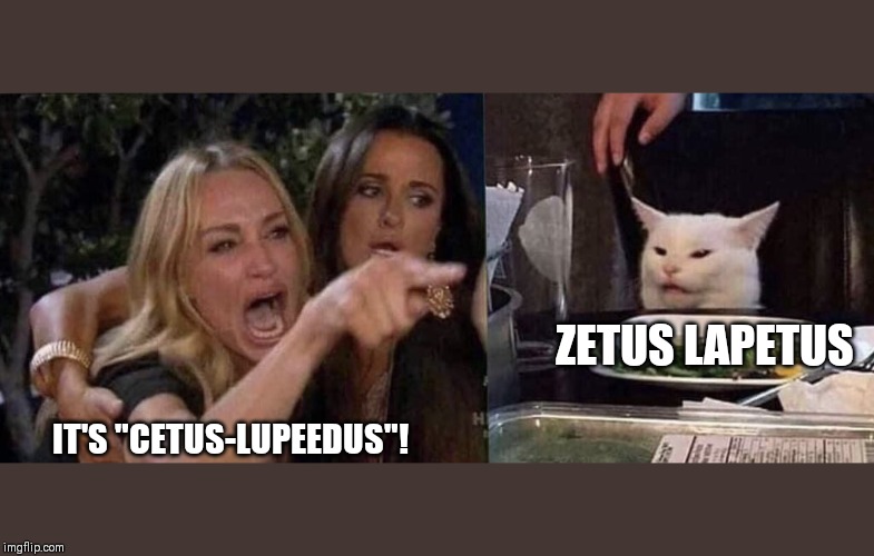 Zenon Girl of the 21st Century | ZETUS LAPETUS; IT'S "CETUS-LUPEEDUS"! | image tagged in woman yelling at cat,disney,cats,funny,funny cats,disney channel | made w/ Imgflip meme maker