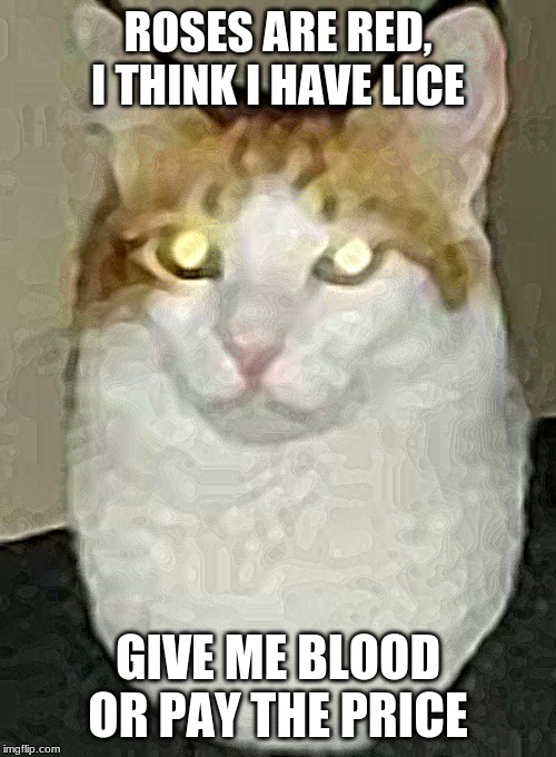 Sacrifice required | ROSES ARE RED, I THINK I HAVE LICE; GIVE ME BLOOD OR PAY THE PRICE | image tagged in cats | made w/ Imgflip meme maker
