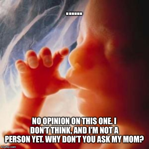 When they mock Planned Parenthood for supporting "human rights for all." Well, fetuses aren't people. Yet. | ...... NO OPINION ON THIS ONE. I DON’T THINK, AND I’M NOT A PERSON YET. WHY DON’T YOU ASK MY MOM? | image tagged in fetus,abortion,abortion is murder,pro-life,pro-choice,planned parenthood | made w/ Imgflip meme maker