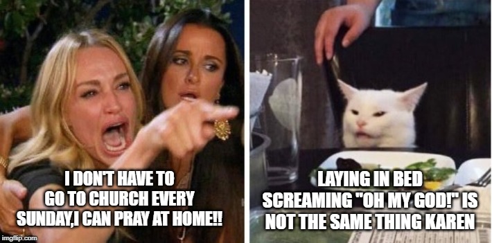 LAYING IN BED SCREAMING "OH MY GOD!" IS NOT THE SAME THING KAREN; I DON'T HAVE TO GO TO CHURCH EVERY SUNDAY,I CAN PRAY AT HOME!! | image tagged in smudge the cat | made w/ Imgflip meme maker