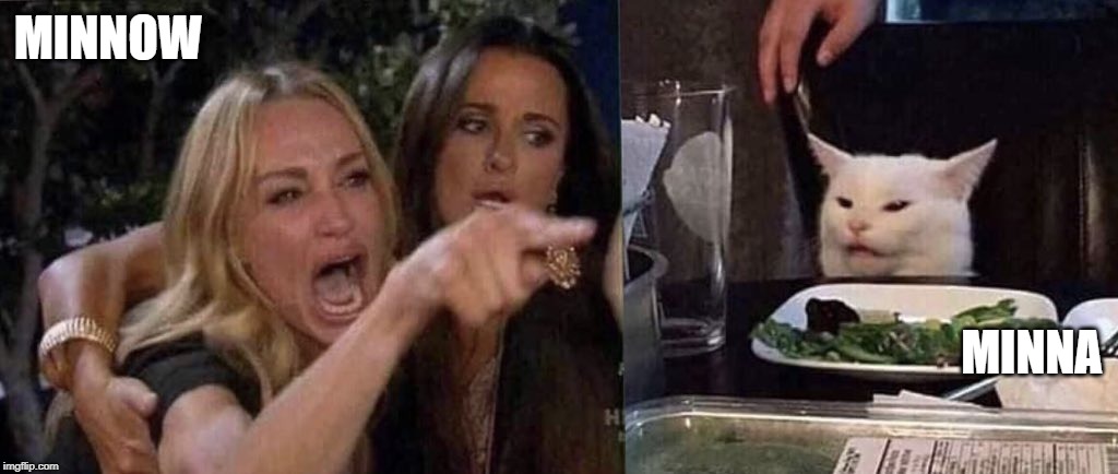 woman yelling at cat | MINNOW; MINNA | image tagged in woman yelling at cat | made w/ Imgflip meme maker