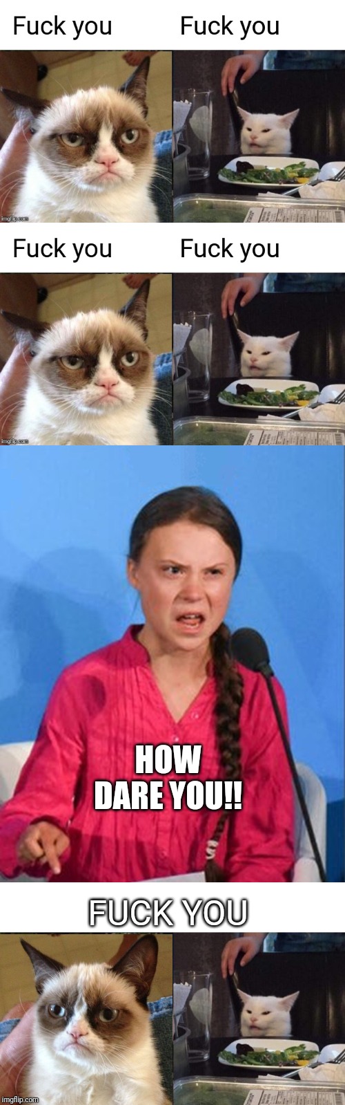 Unity | HOW DARE YOU!! FUCK YOU | image tagged in memes,woman yelling at cat,greta thunberg how dare you | made w/ Imgflip meme maker